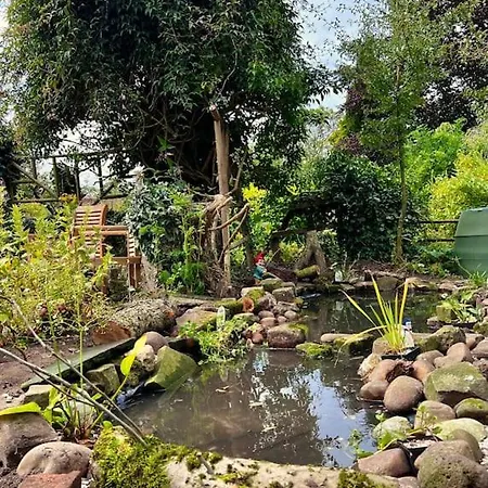 Little Syke 度假居 Nun Monkton