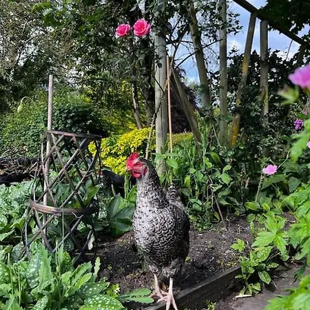 Little Syke * Nun Monkton